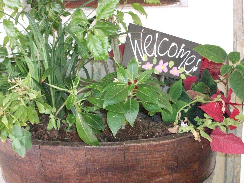 Bread And Barrel Guesthouse Bellville Cidade Do Cabo Exterior foto